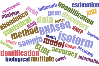 Statistical and computational method development for identification and quantification of RNA isoforms/transcripts from short-read RNA-seq data